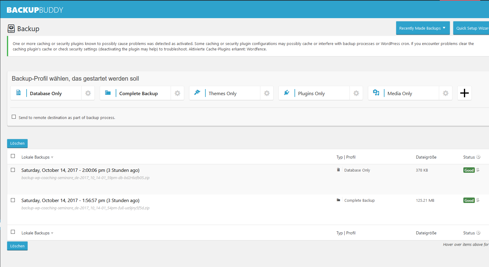 Backup Buddy von Ithemes