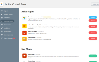 Jupiter Theme Control Panel Plugins
